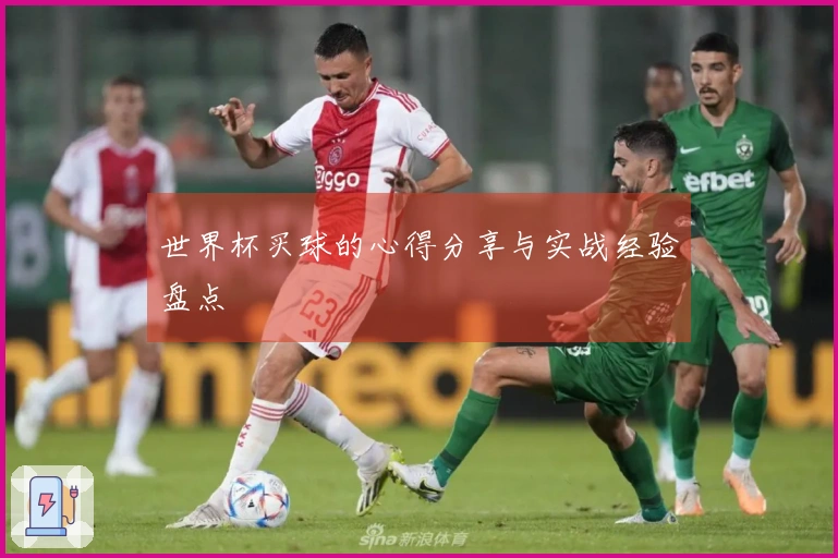 世界杯买球的心得分享与实战经验盘点