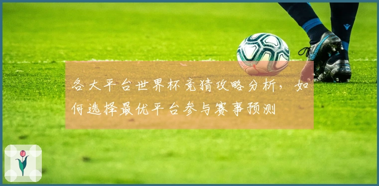 各大平台世界杯竞猜攻略分析，如何选择最优平台参与赛事预测