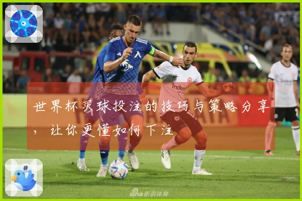 世界杯买球投注的技巧与策略分享，让你更懂如何下注