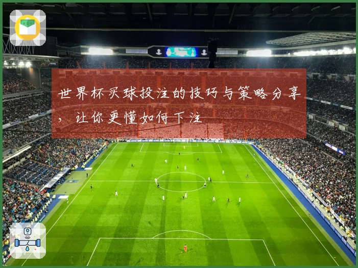 世界杯买球投注的技巧与策略分享，让你更懂如何下注