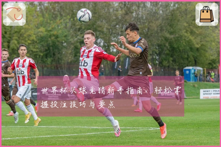 世界杯买球竞猜新手指南，轻松掌握投注技巧与要点