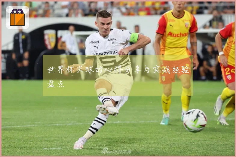 世界杯买球的心得分享与实战经验盘点