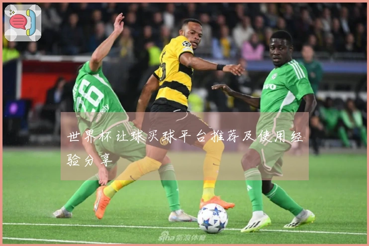 世界杯让球买球平台推荐及使用经验分享