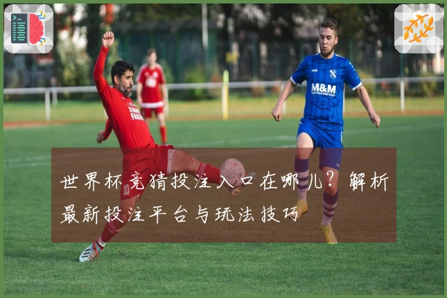世界杯竞猜投注入口在哪儿？解析最新投注平台与玩法技巧