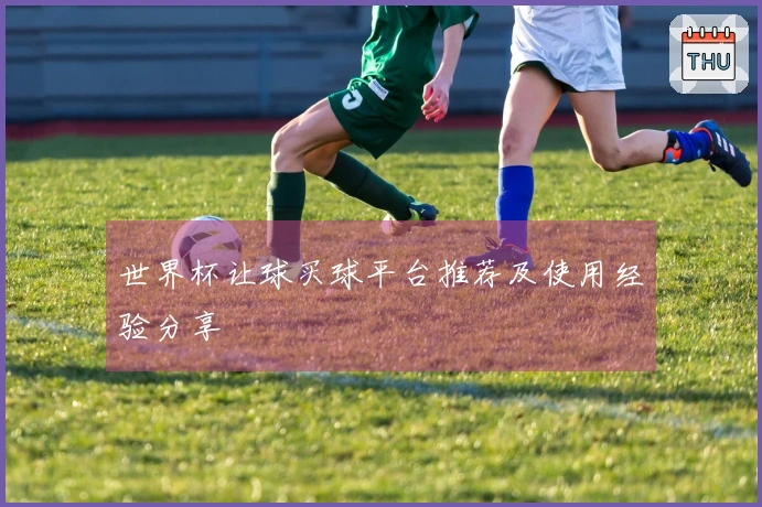 世界杯让球买球平台推荐及使用经验分享