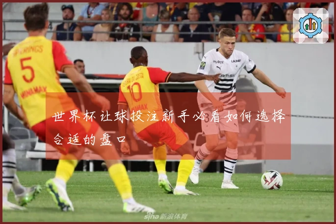 世界杯让球投注新手必看如何选择合适的盘口