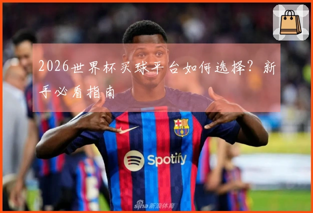 2026世界杯买球平台如何选择？新手必看指南