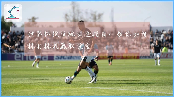 世界杯投注玩法全指南，教你如何稳打稳扎赢取奖金