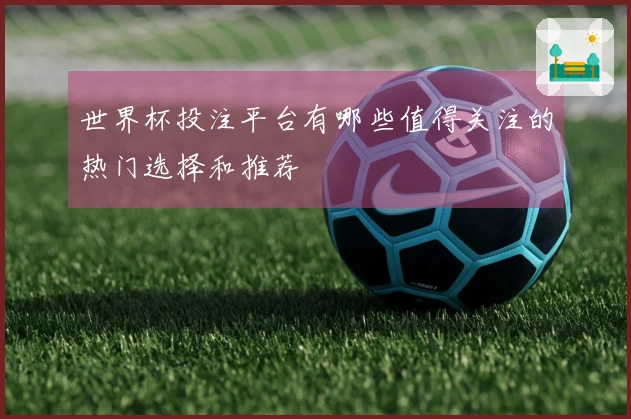 世界杯投注平台有哪些值得关注的热门选择和推荐